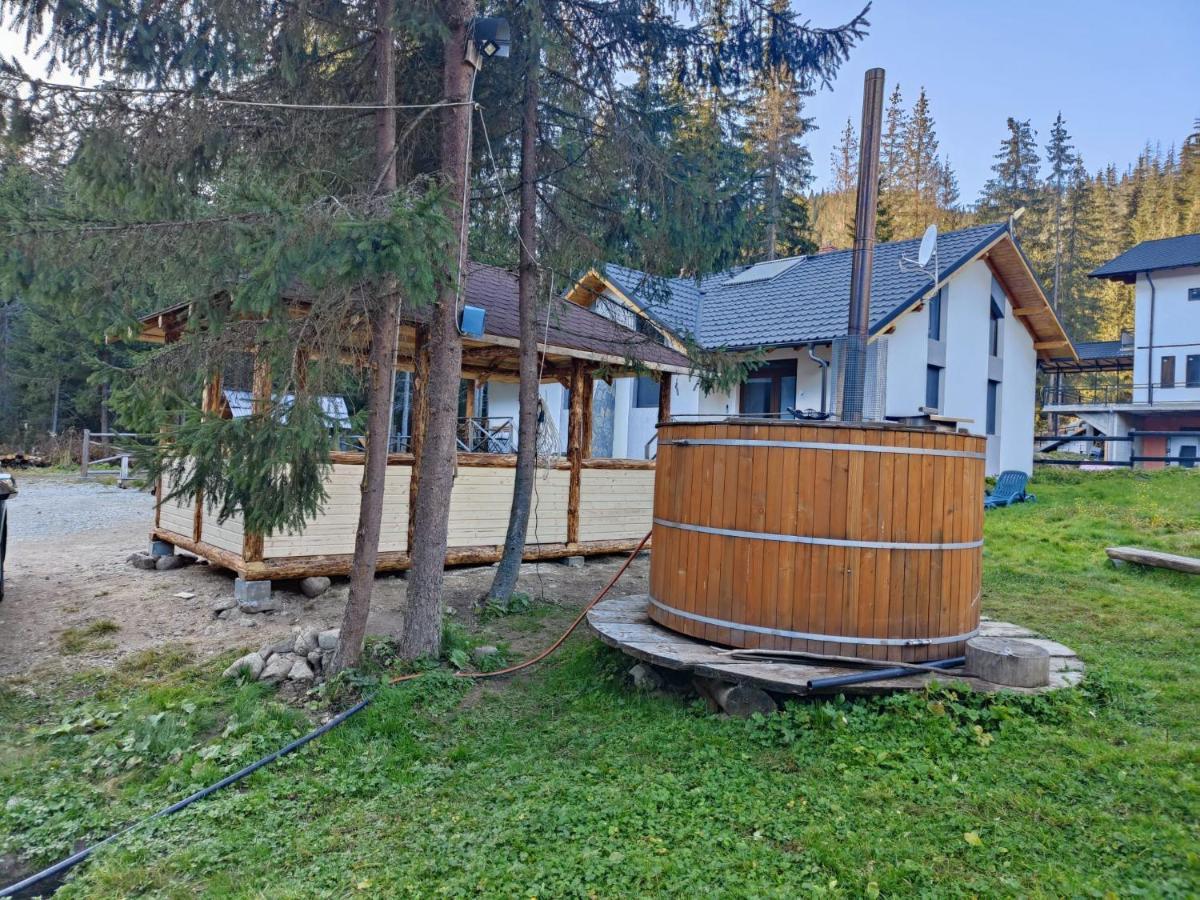 Complex Transalpina Lac Войняса Екстер'єр фото