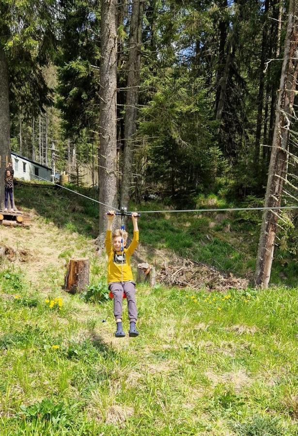 Complex Transalpina Lac Войняса Екстер'єр фото